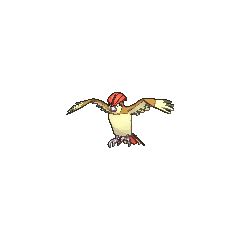 pidgeotto bulbapedia.